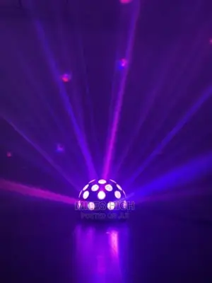 Portable Disco Ball