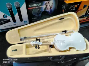 Professionals White Violin
