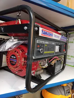 Tamashi 2.5kva Gasoline Generator
