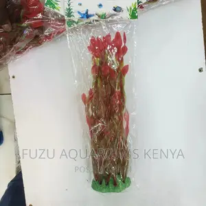 Bulk Aquarium Plant