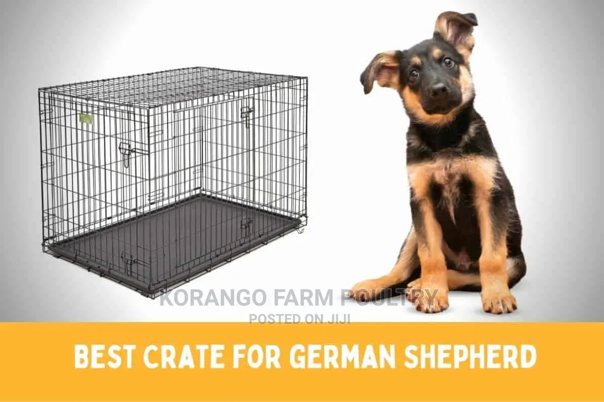 Puppies Cages