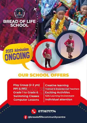 School Flyers / Brochures