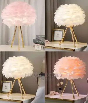 L.E.D Modern Night Feather Light