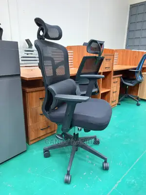 Executive Orthopaedic Office Chair