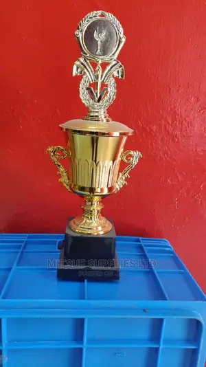 Rugby Tournament Victory Trophy- 17 Inches