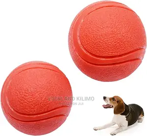 Pet Fetch Toy Ball