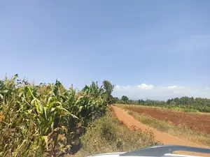 1 Acre Kirinyaga /Kutus