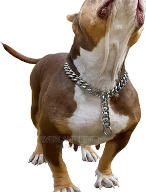 Training Choke Chain