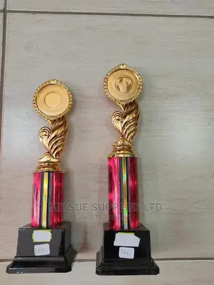 Twin Trophies for General Award 1st 2nd Pos- 11.5 Inch