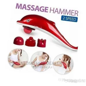 Dolphin Massager