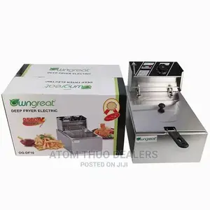 Electric Single Deep Fryer