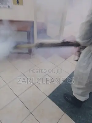 Mosquitos Fumigation