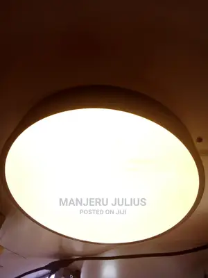 Led Ceiling Light