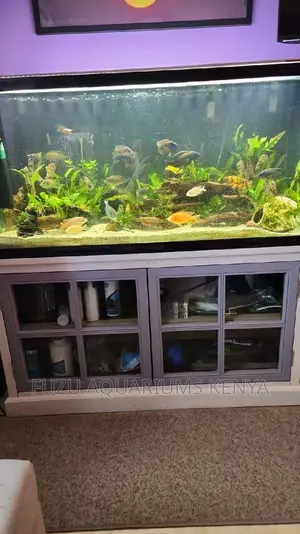 Aquarium Chichlids