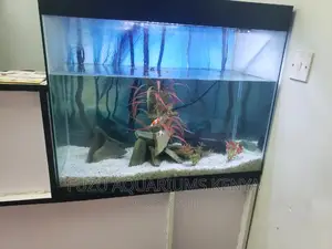Repair Aquarium