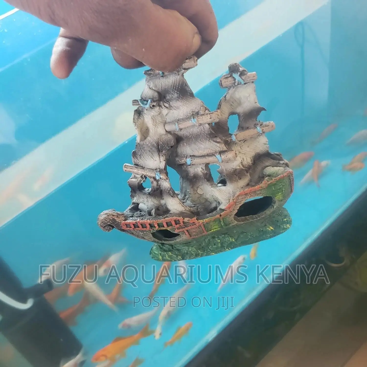 Aquarium Ship Ornament!