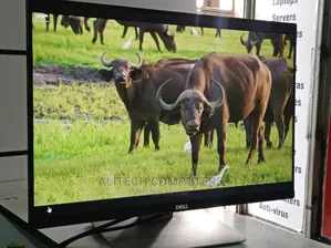 Dell Monitor Edge to Edge 24inches ( Resolution)