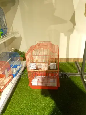 Medium Cages
