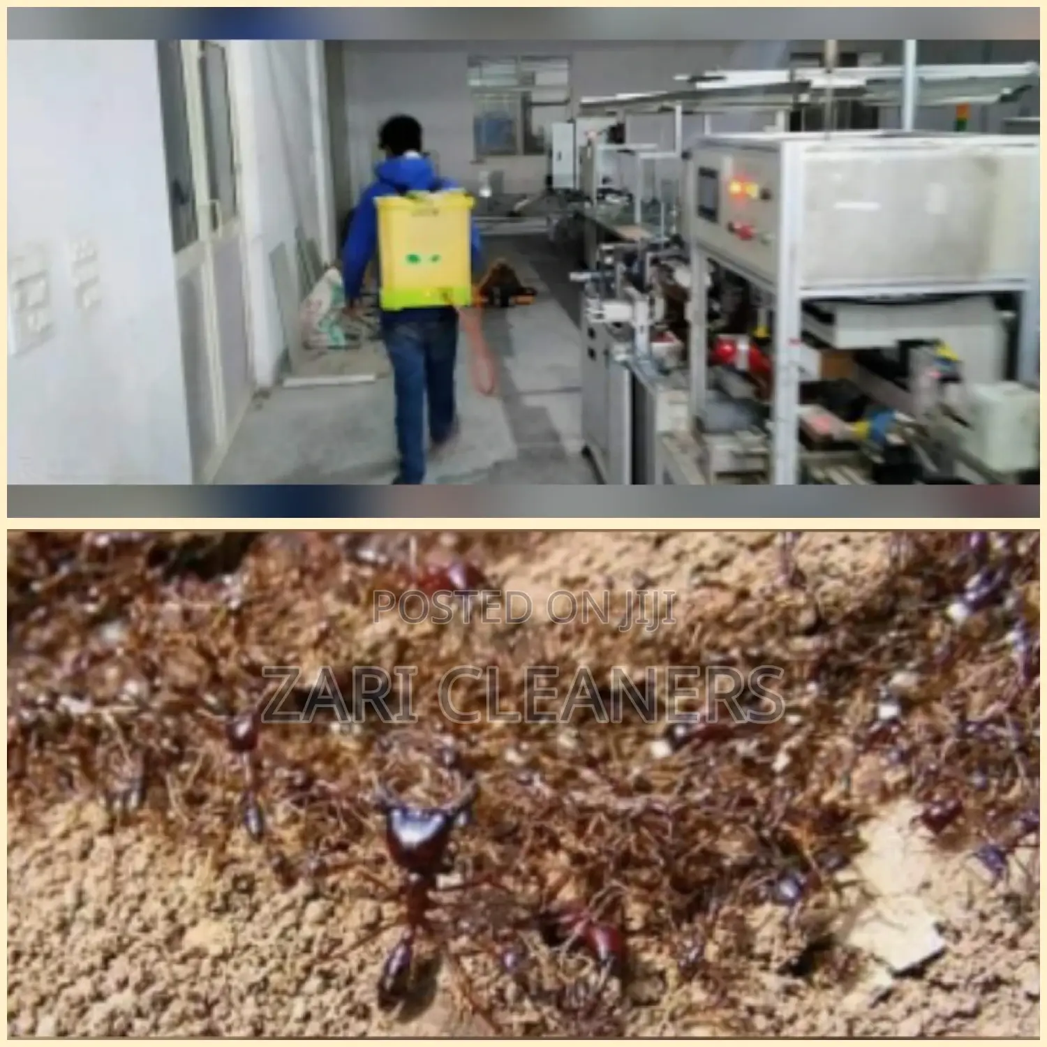 Fumigation and Pest Control Near Me.