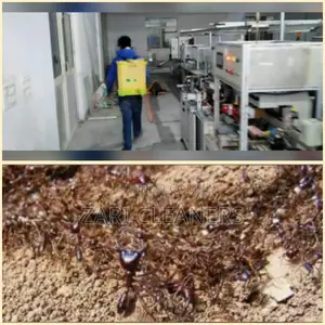 Fumigation and Pest Control Near Me.