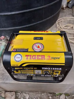 Tiger Gasoline Backup Generator 2kva