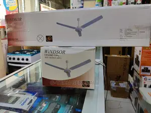 Windsor Ceiling Fan 56"
