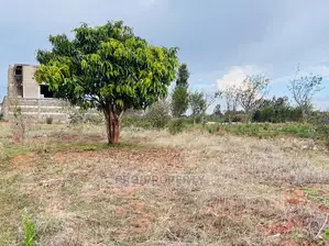 Prime Residential 50 by 100fts Plot in Kikuyu, Lusingetti.