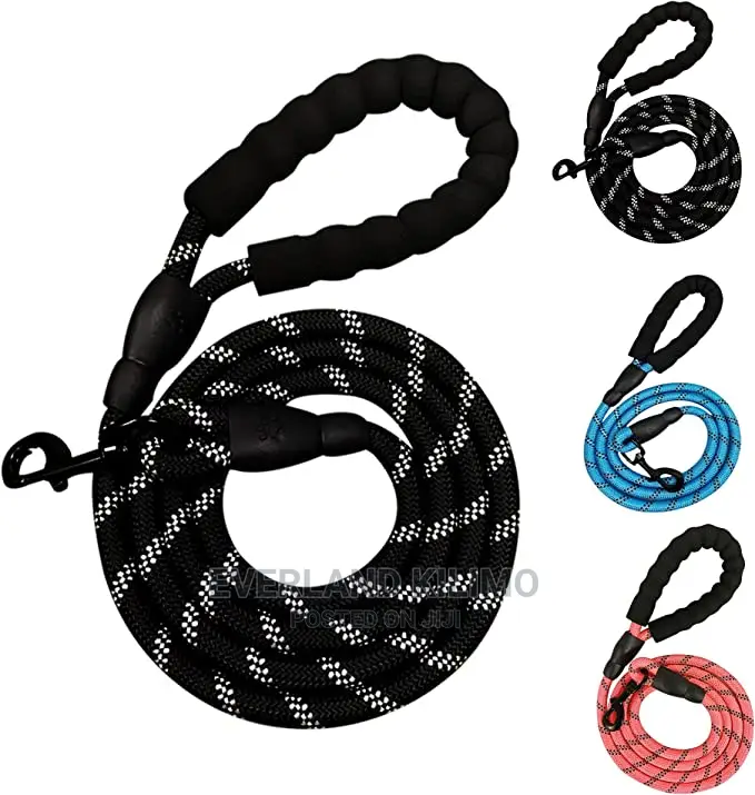 Nylon Reflective Leash