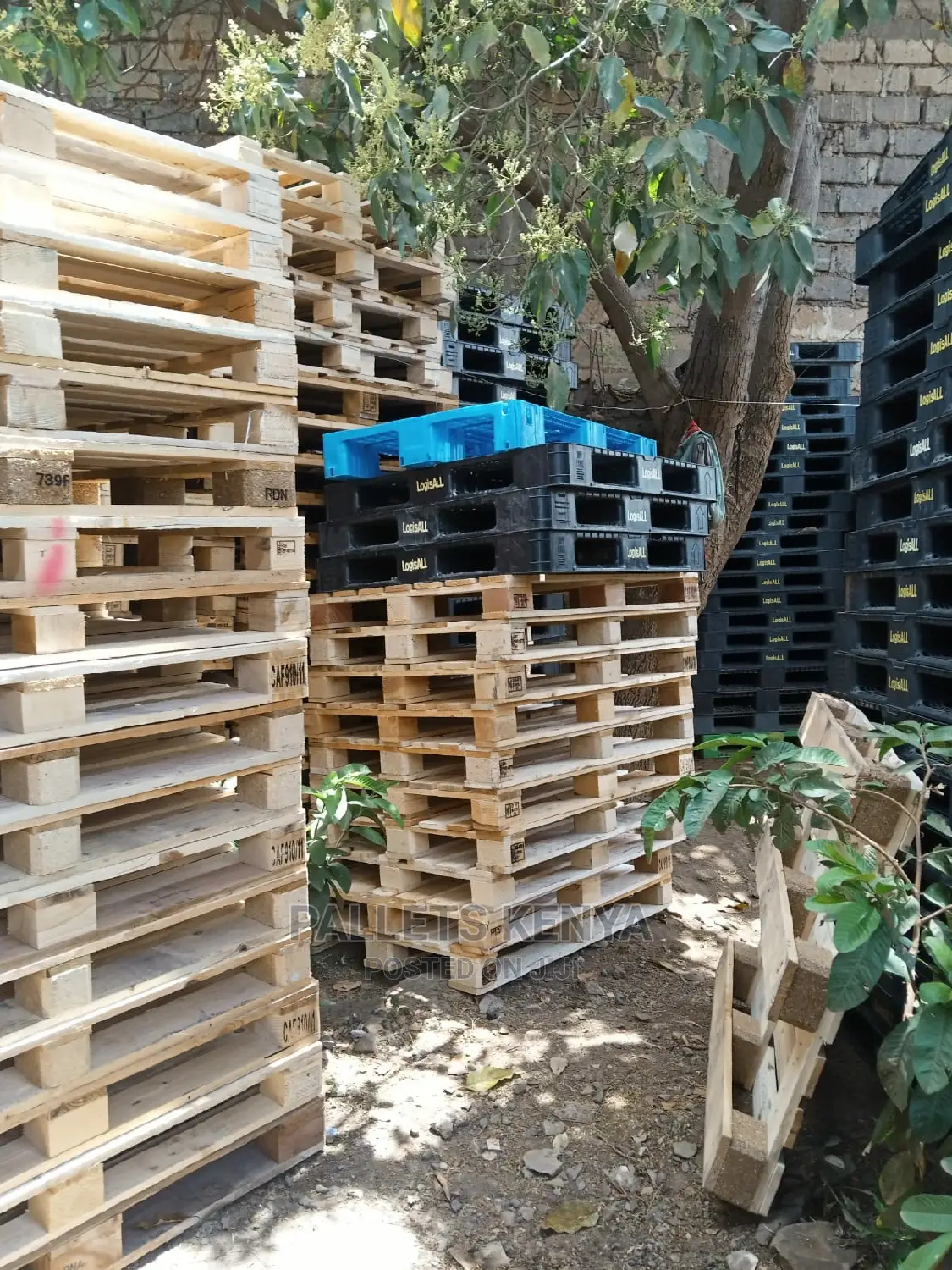 Pallets - Wood Pallets - Plastic Pallets Available