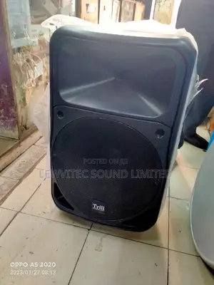 Trill Proffessional 15 Inch Speaker