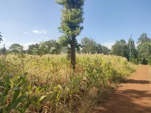 2 Acres Kibingoti/Sagana Karatina Highway