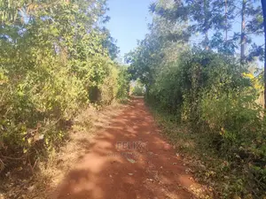 1 Acre Sagana/ Makutano Highway Riandila