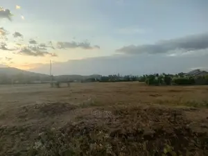 1 Acre Sagana Goovernors Drive
