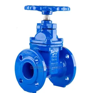 Sluice Gate Valve 2inch