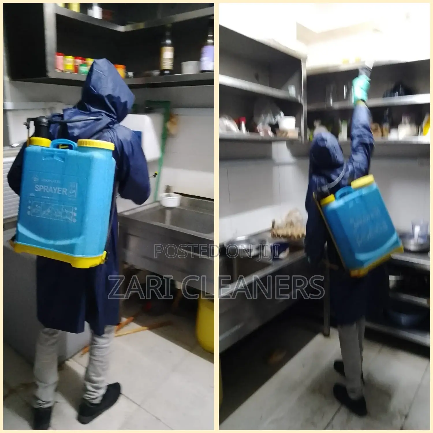 Fumigation and Pest Control Services in Umoja