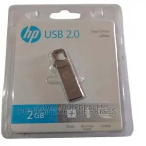 Hp 2gb Flash Disk
