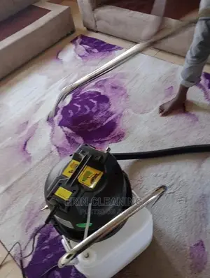 Mattress and Carpet Cleaning