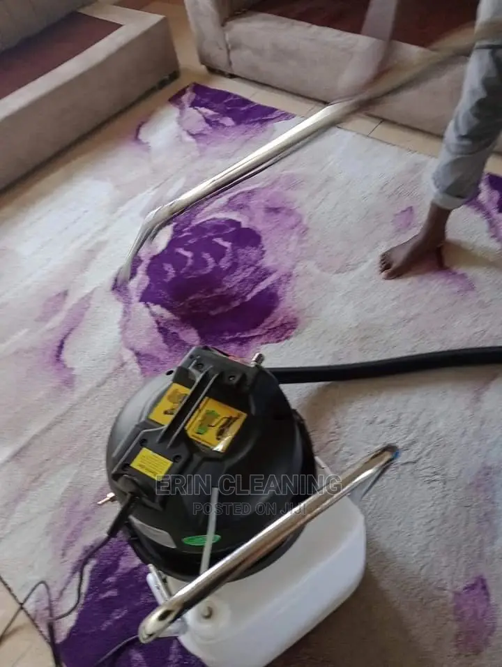 Mattress and Carpet Cleaning