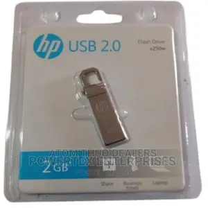 Hp 2 Gb Flash Disk , .