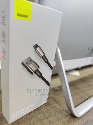 Baseus USB to Ip Fast Charging Cable(2M)