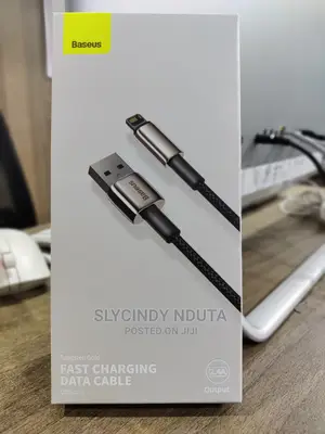 Baseus USB to Ip Fast Charging Cable(2M)