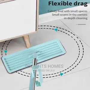Self Wringing Mop