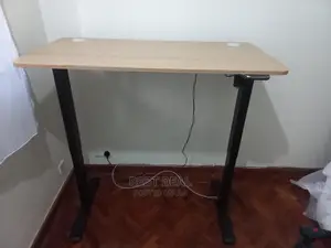 Electric Adjustable Desk