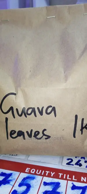 Guava Leaves Powder
