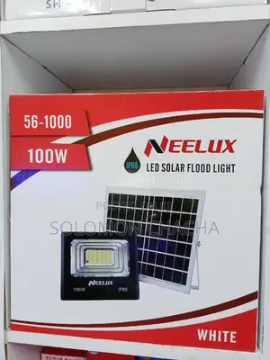 Neelux 100W Flood Light