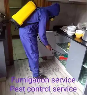 Kitchen Fumigation of Cockroaches and Bedbugs