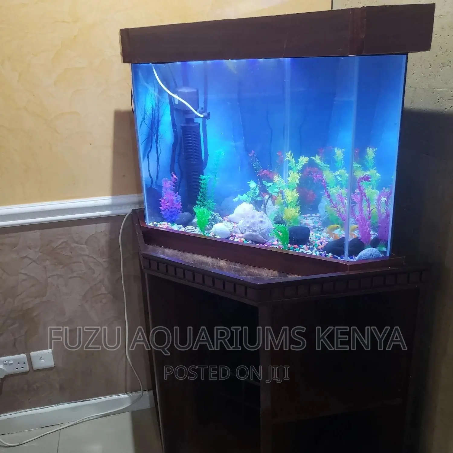 Aquarium Any Shape