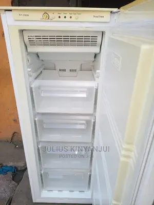 Upright Freezer 250l