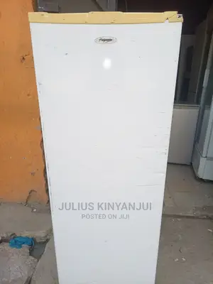 Upright Freezer 250l