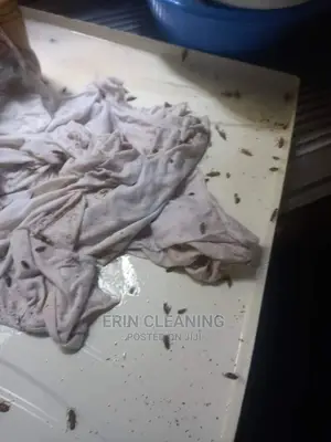 Cockroach and Fumigation